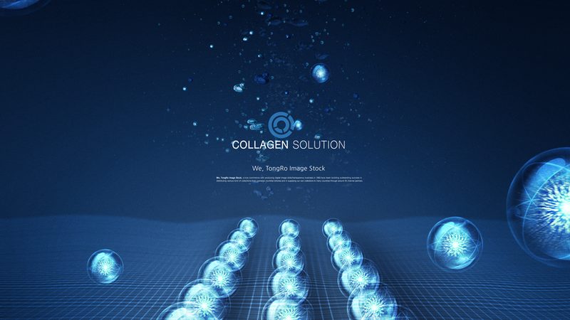 CRO实施流程：揭秘药物研发中的关键步骤