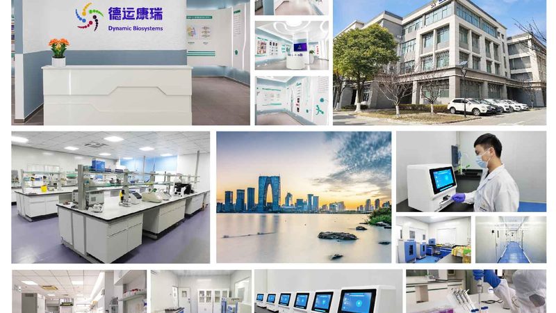 全基因组测序在孕妇检测中的应用与价值