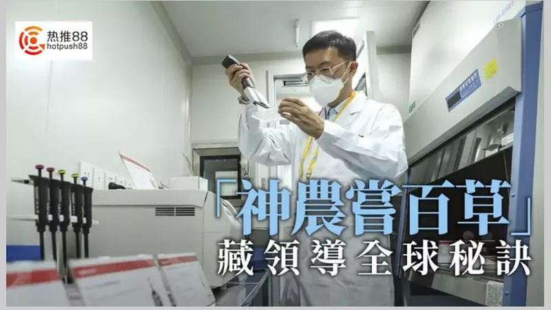 胶体金检测试剂盒的型号参数背后藏着哪些门道