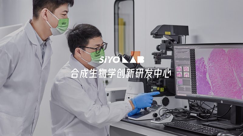 引物合成最小长度是多少
