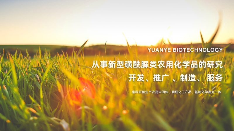 移液器代理加盟，市场前景探析