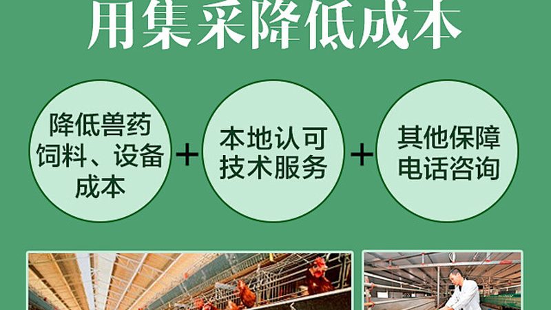 分子生物学定制试剂：揭秘其背后的科学奥秘与选型要点**