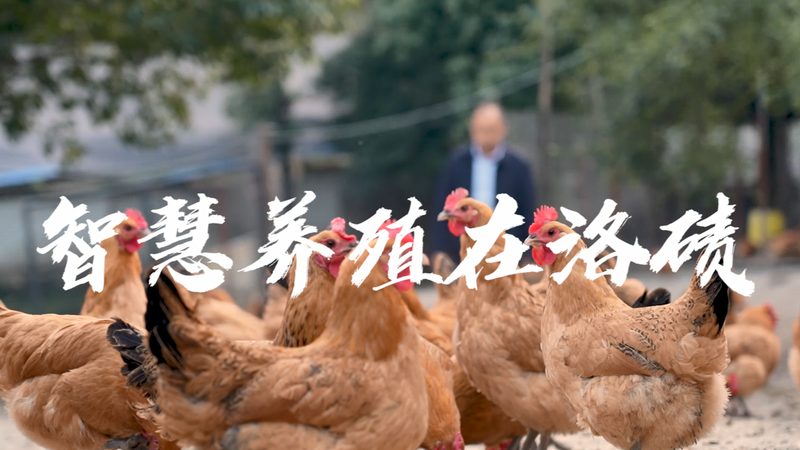 生物制品储存温度：那些不容忽视的风险点**